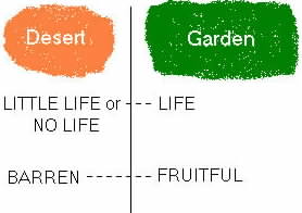 Desert and Garden illustration.
